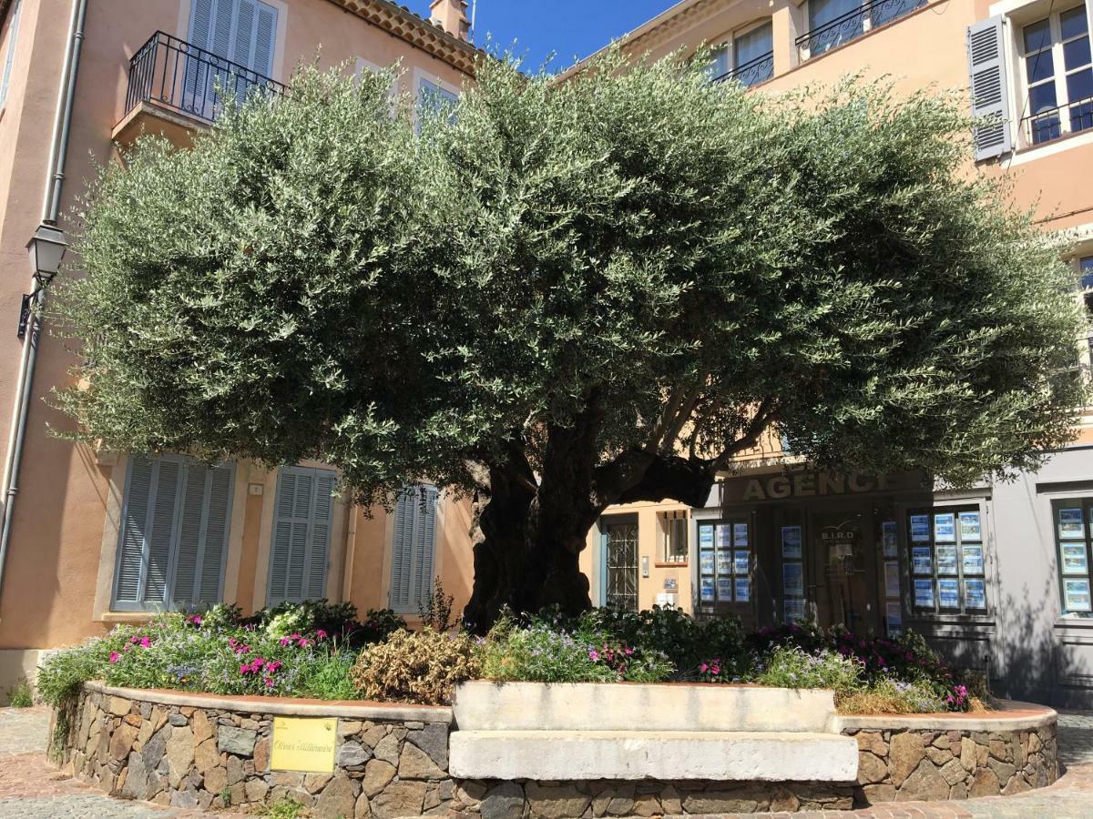 Bastide Du Levant แซ็งต์-แมกซีม ภายนอก รูปภาพ